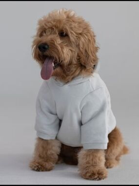 NEW Comfrt Standard Paw Hoodie - Fog - Size Med.